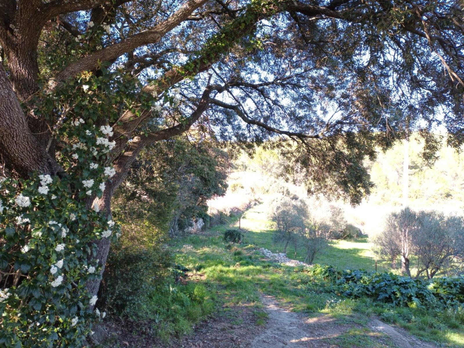 Romance Carnoules (Var)
